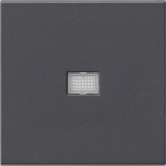 Клавіша 1-кл з великим контрольним вікном System 55, антрацит