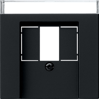 Накладка для TAE+USB з полем для надпису System 55, чорний матовий