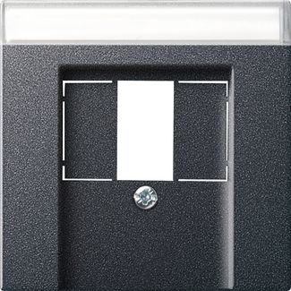 Накладка для TAE+USB з полем для надпису System 55, антрацит