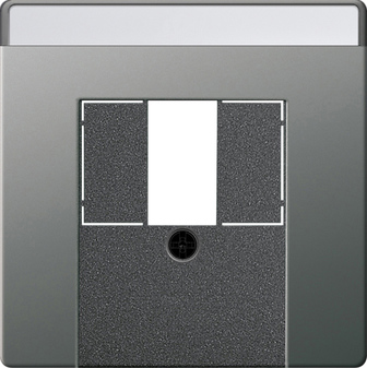 Накладка для TAE+USB з полем для надпису System 55, сталь