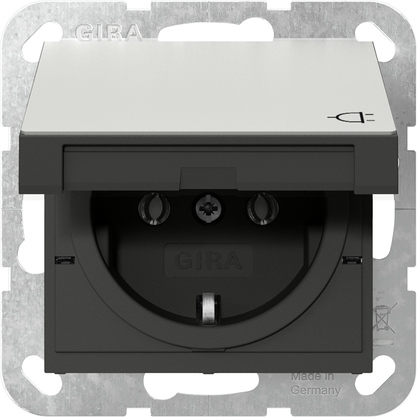 Розетка з кришкою System 55, сталь