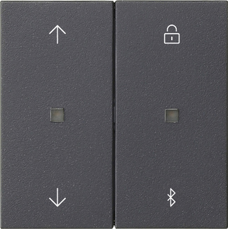 Накладка жалюзі та таймеру зі стрілками BT S3000 System 55, антрацит