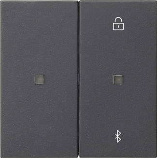 538128 Накладка жалюзі та таймеру BT S3000 System 55, антрацит - Зображення 1