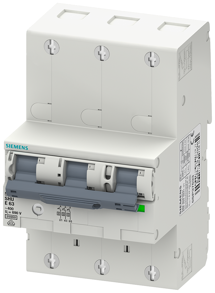 G_I202_XX_24831P 5SP3363-3 MAIN CIRCUIT BREAKER 3POL E 63 - Зображення 1