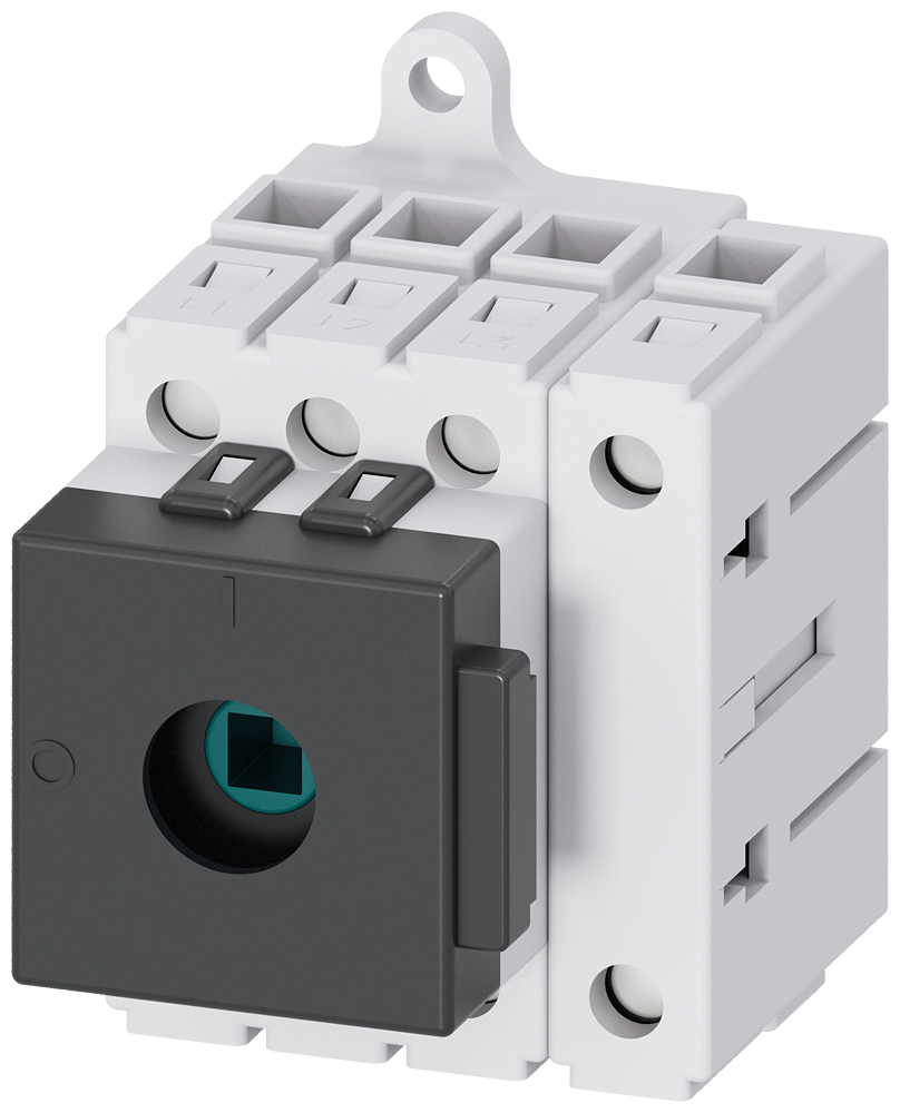 G_I202_XX_38515P 3LD3210-0TL05 Switch disconnector 3LD3, main s... - Зображення 1
