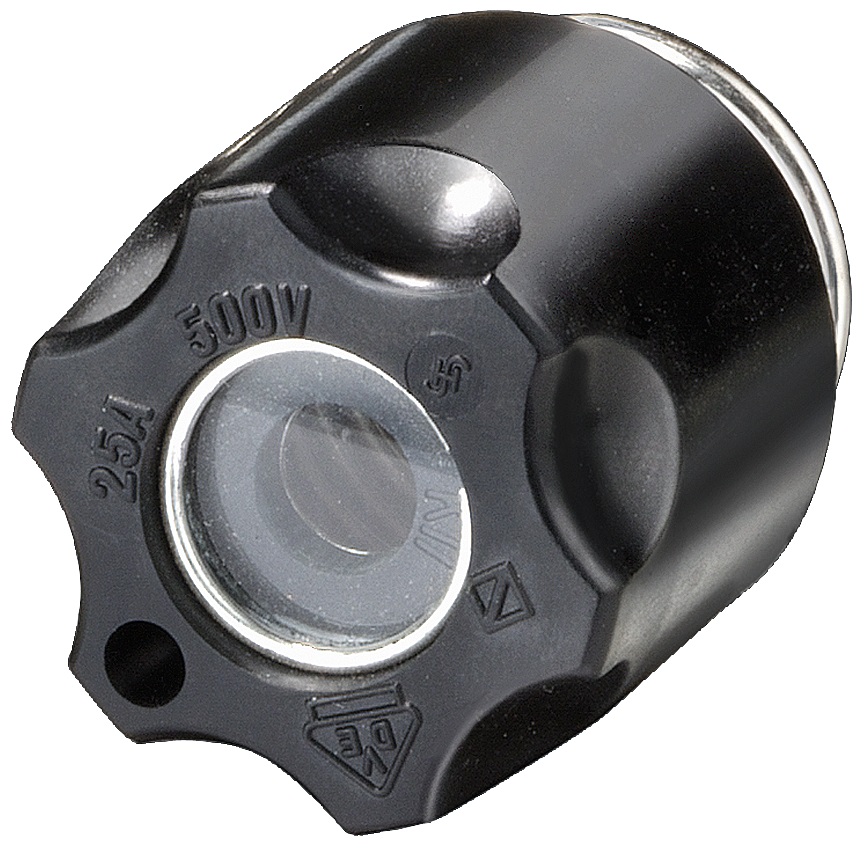 P_I201_XX_04405P 5SH1231 DIAZED-SCREW CAP DIII 63A - Зображення 1