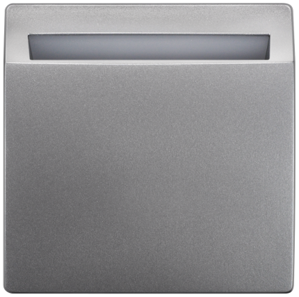 5TG4830-1  STYLE HOTEL CARD SWITCH PM