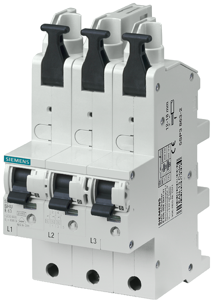 P_I202_XX_00313P 5SP3863-2 MAIN CIRCUIT-BREAKER 3X1POL E63 - Зображення 1